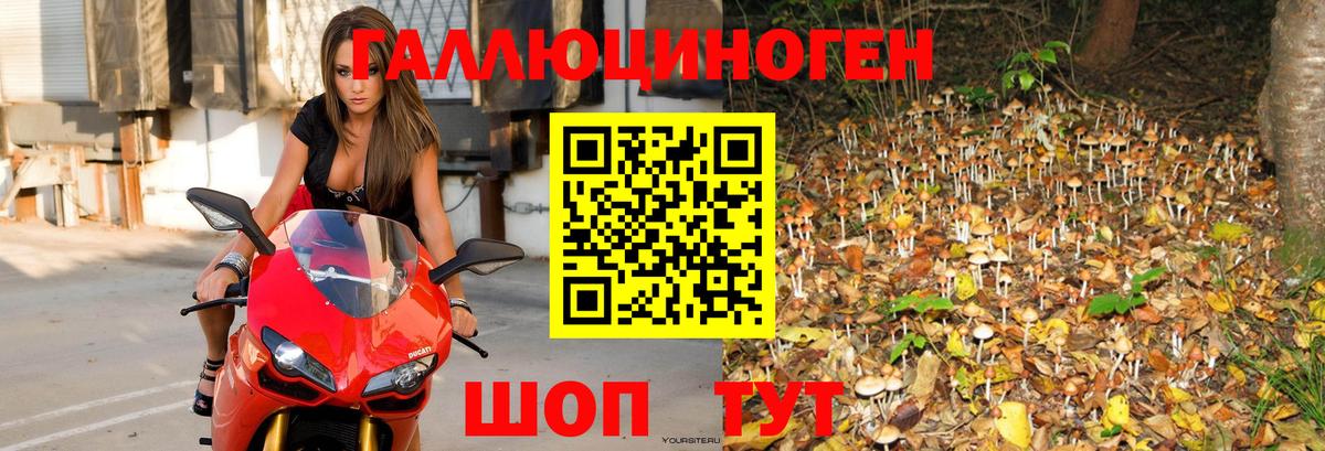 Галлюциногенные грибы Magic Shrooms  Вход с VPN  Саров 