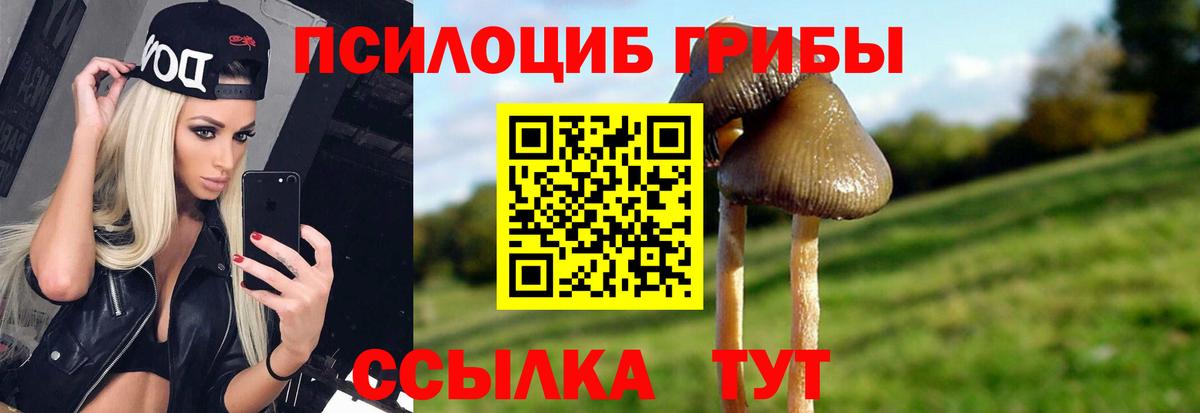 Псилоцибиновые грибы прущие грибы Саров